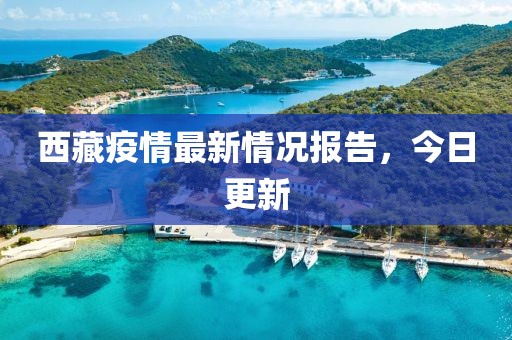 西藏疫情最新情况报告，今日更新