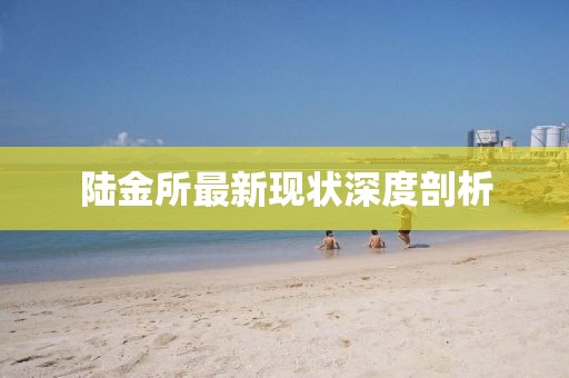 陆金所最新现状深度剖析