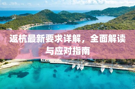 返杭最新要求详解，全面解读与应对指南
