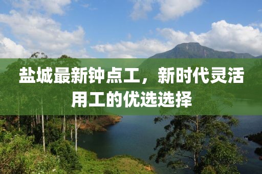 盐城最新钟点工，新时代灵活用工的优选选择