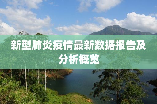 新型肺炎疫情最新数据报告及分析概览