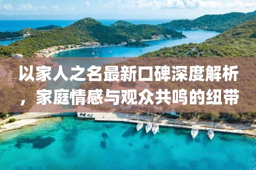 以家人之名最新口碑深度解析，家庭情感与观众共鸣的纽带