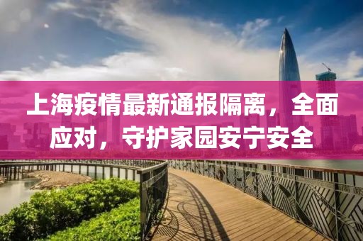 上海疫情最新通报隔离，全面应对，守护家园安宁安全