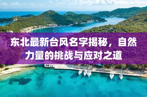 东北最新台风名字揭秘，自然力量的挑战与应对之道