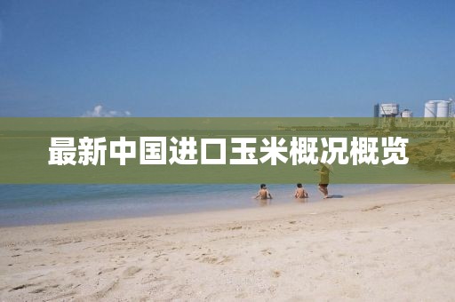 最新中国进口玉米概况概览
