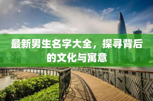 最新男生名字大全，探寻背后的文化与寓意