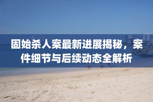 固始杀人案最新进展揭秘，案件细节与后续动态全解析