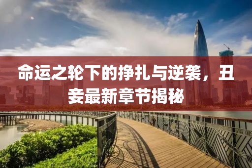 命运之轮下的挣扎与逆袭，丑妾最新章节揭秘