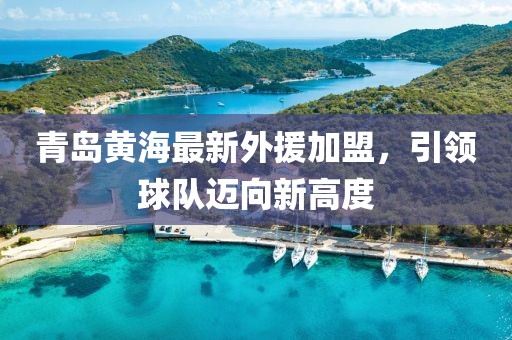 青岛黄海最新外援加盟，引领球队迈向新高度