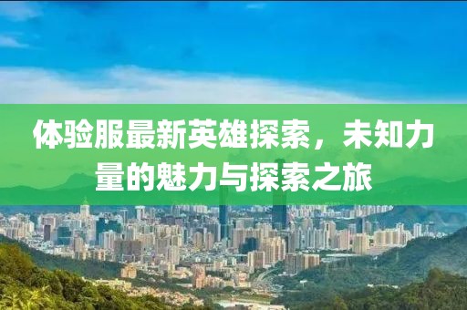 体验服最新英雄探索，未知力量的魅力与探索之旅