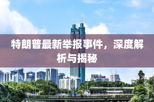 特朗普最新举报事件，深度解析与揭秘