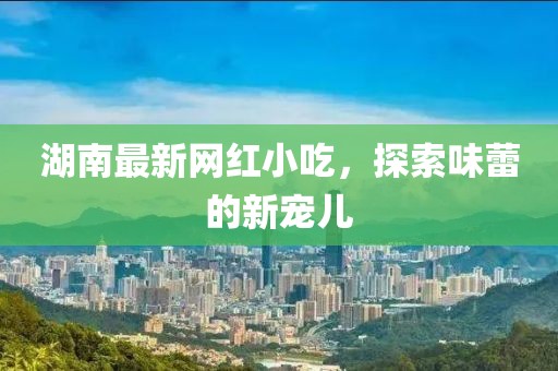 湖南最新网红小吃，探索味蕾的新宠儿