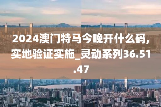 2024澳门特马今晚开什么码,实地验证实施_灵动系列36.51.47