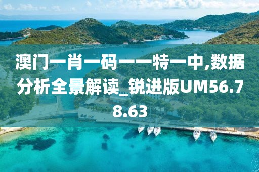 澳门一肖一码一一特一中,数据分析全景解读_锐进版UM56.78.63