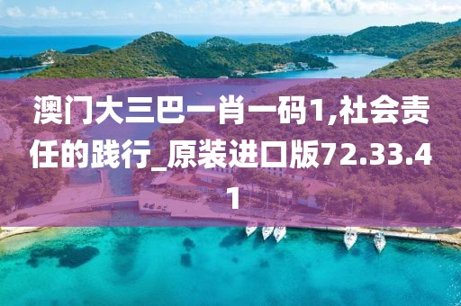 澳门大三巴一肖一码1,社会责任的践行_原装进口版72.33.41