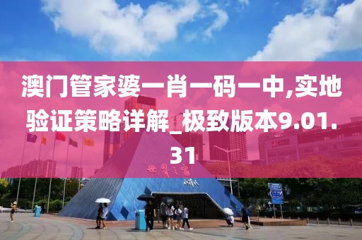 澳门管家婆一肖一码一中,实地验证策略详解_极致版本9.01.31