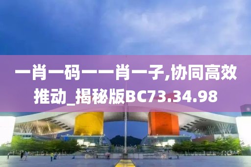 一肖一码一一肖一子,协同高效推动_揭秘版BC73.34.98