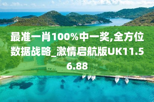 最准一肖100%中一奖,全方位数据战略_激情启航版UK11.56.88