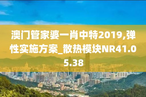澳门管家婆一肖中特2019,弹性实施方案_散热模块NR41.05.38