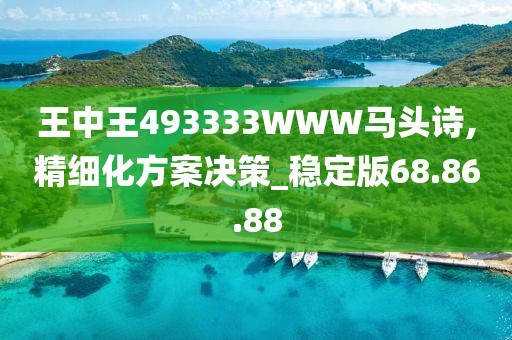 王中王493333WWW马头诗,精细化方案决策_稳定版68.86.88
