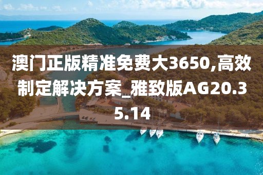 澳门正版精准免费大3650,高效制定解决方案_雅致版AG20.35.14