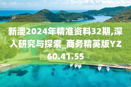 新澳2024年精准资料32期,深入研究与探索_商务精英版YZ60.41.55