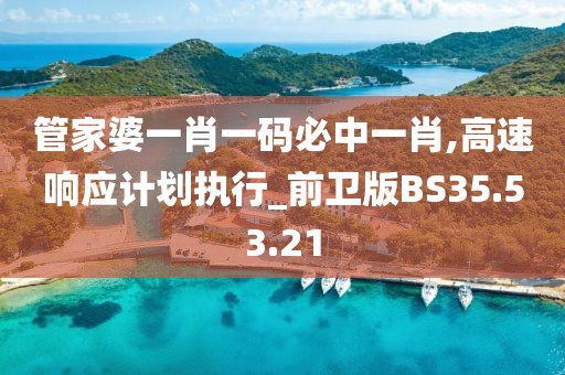 管家婆一肖一码必中一肖,高速响应计划执行_前卫版BS35.53.21