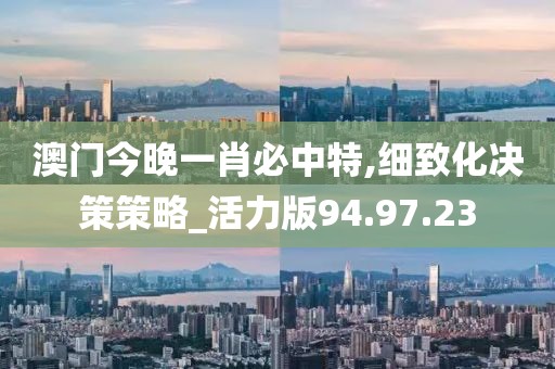 澳门今晚一肖必中特,细致化决策策略_活力版94.97.23