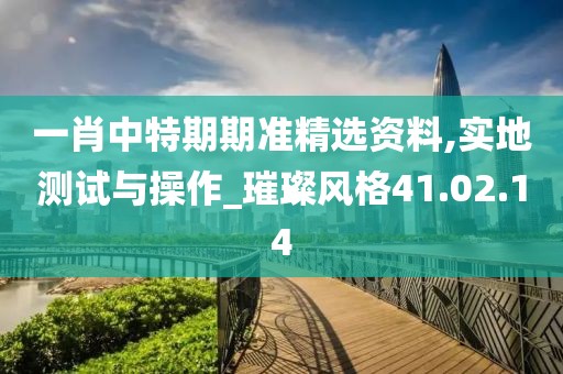 一肖中特期期准精选资料,实地测试与操作_璀璨风格41.02.14