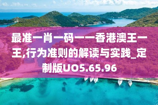 最准一肖一码一一香港澳王一王,行为准则的解读与实践_定制版UO5.65.96