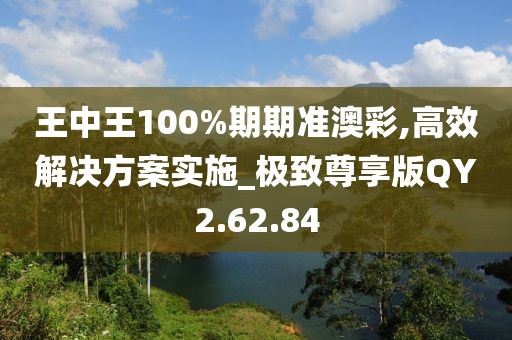 王中王100%期期准澳彩,高效解决方案实施_极致尊享版QY2.62.84