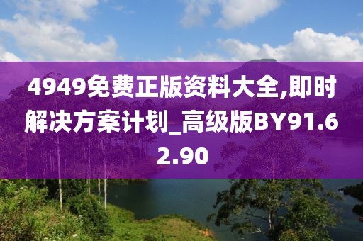 4949免费正版资料大全,即时解决方案计划_高级版BY91.62.90