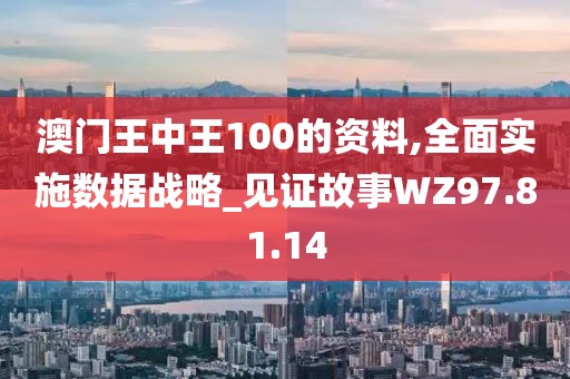 澳门王中王100的资料,全面实施数据战略_见证故事WZ97.81.14