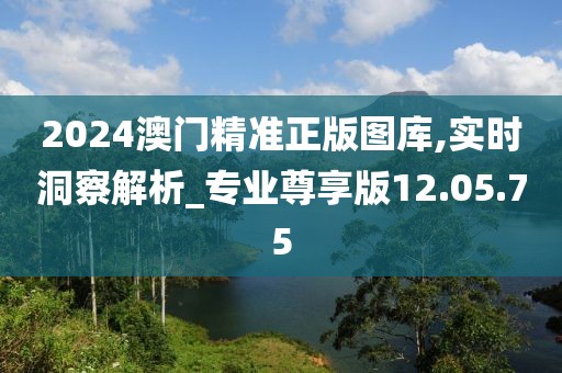 2024澳门精准正版图库,实时洞察解析_专业尊享版12.05.75