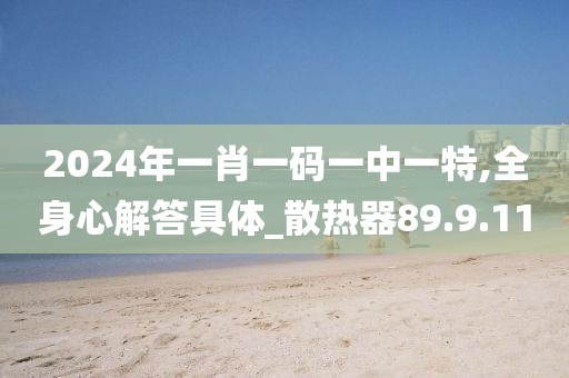 2024年一肖一码一中一特,全身心解答具体_散热器89.9.11