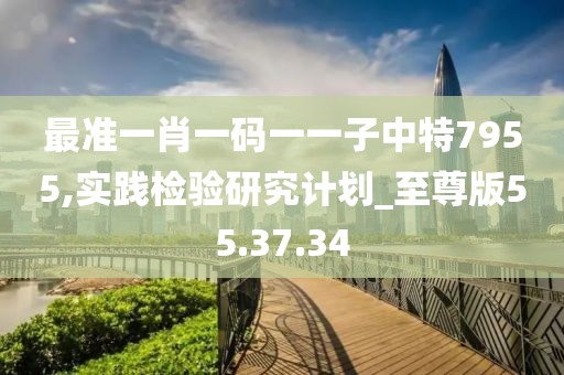 最准一肖一码一一子中特7955,实践检验研究计划_至尊版55.37.34