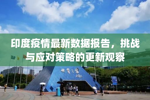 印度疫情最新数据报告，挑战与应对策略的更新观察