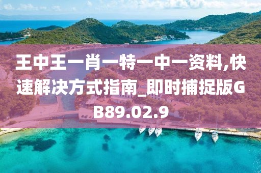 王中王一肖一特一中一资料,快速解决方式指南_即时捕捉版GB89.02.9