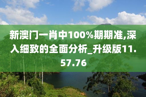 新澳门一肖中100%期期准,深入细致的全面分析_升级版11.57.76