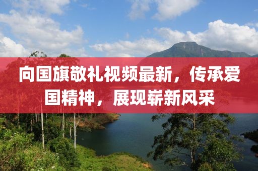 向国旗敬礼视频最新，传承爱国精神，展现崭新风采