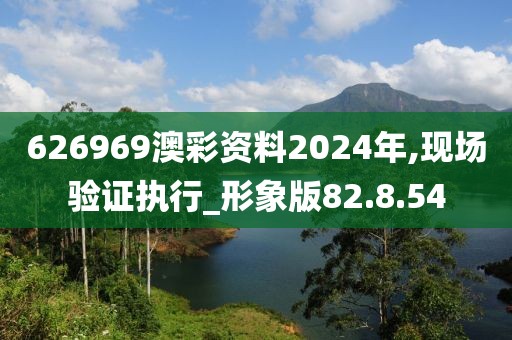 626969澳彩资料2024年,现场验证执行_形象版82.8.54