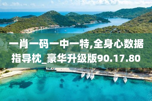 一肖一码一中一特,全身心数据指导枕_豪华升级版90.17.80