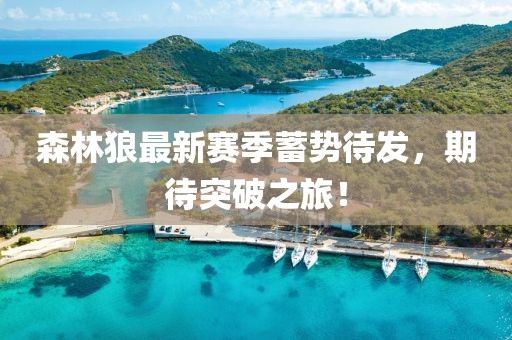 森林狼最新赛季蓄势待发，期待突破之旅！
