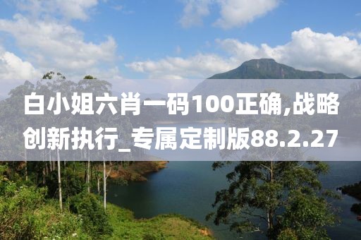 白小姐六肖一码100正确,战略创新执行_专属定制版88.2.27