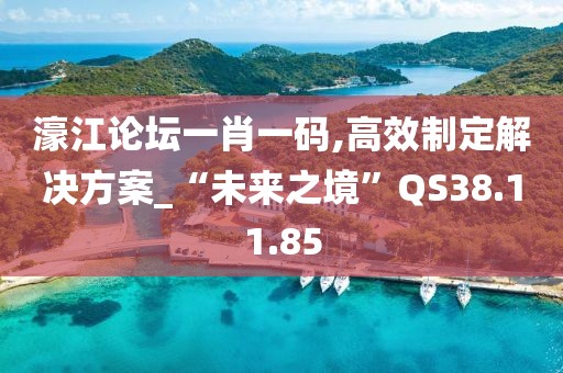 濠江论坛一肖一码,高效制定解决方案_“未来之境”QS38.11.85