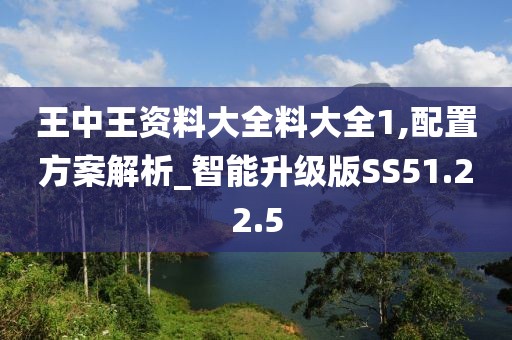王中王资料大全料大全1,配置方案解析_智能升级版SS51.22.5