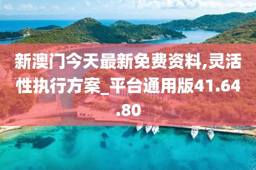 新澳门今天最新免费资料,灵活性执行方案_平台通用版41.64.80
