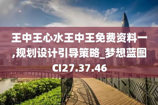 王中王心水王中王免费资料一,规划设计引导策略_梦想蓝图CI27.37.46