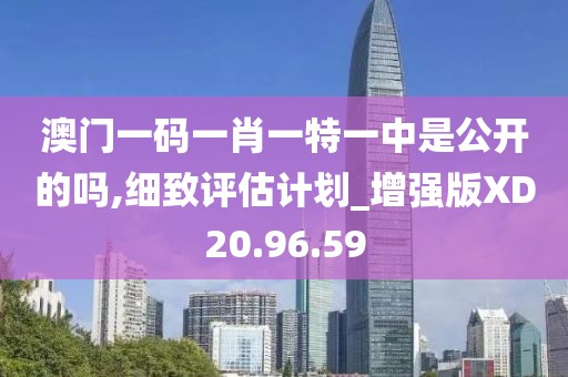 澳门一码一肖一特一中是公开的吗,细致评估计划_增强版XD20.96.59