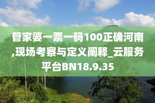 管家婆一票一码100正确河南,现场考察与定义阐释_云服务平台BN18.9.35